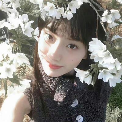 女猫