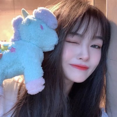 麒麟之翼